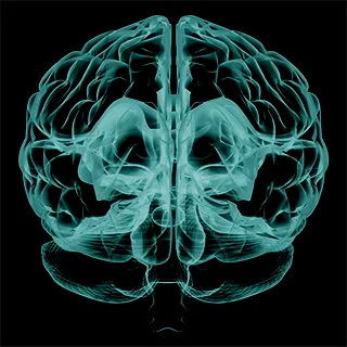 brain before