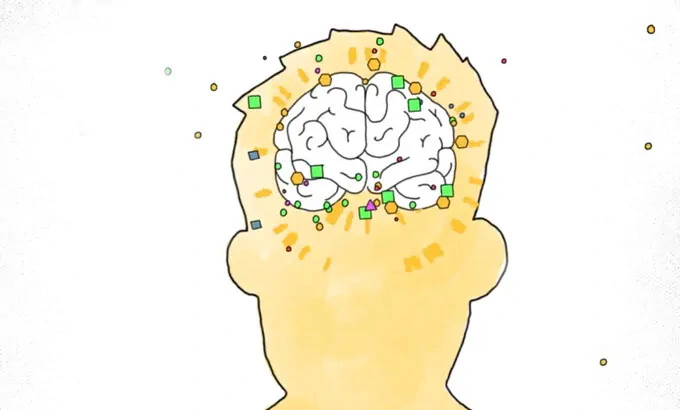 illustration of the human brain